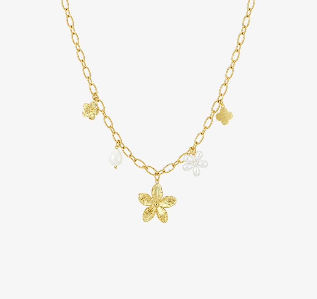 COLLIER STECY