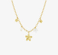 COLLIER STECY