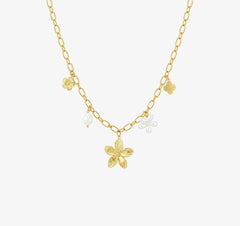 COLLIER STECY
