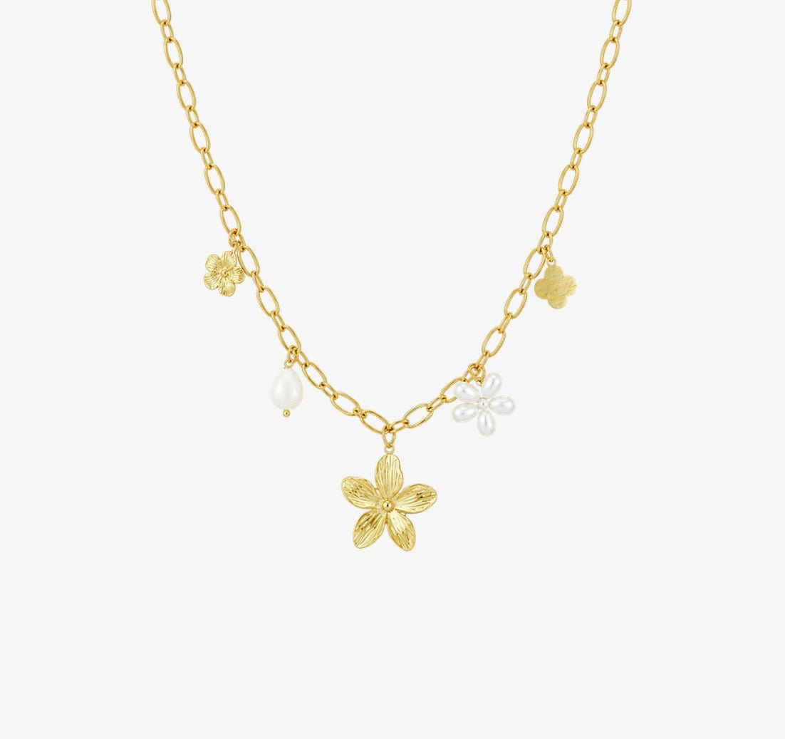 COLLIER STECY