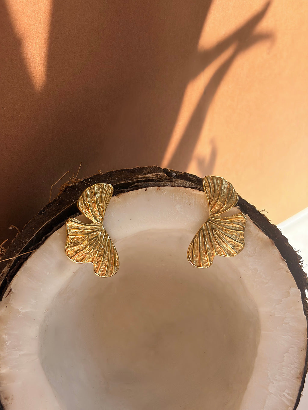 Boucles d’oreilles LIORA