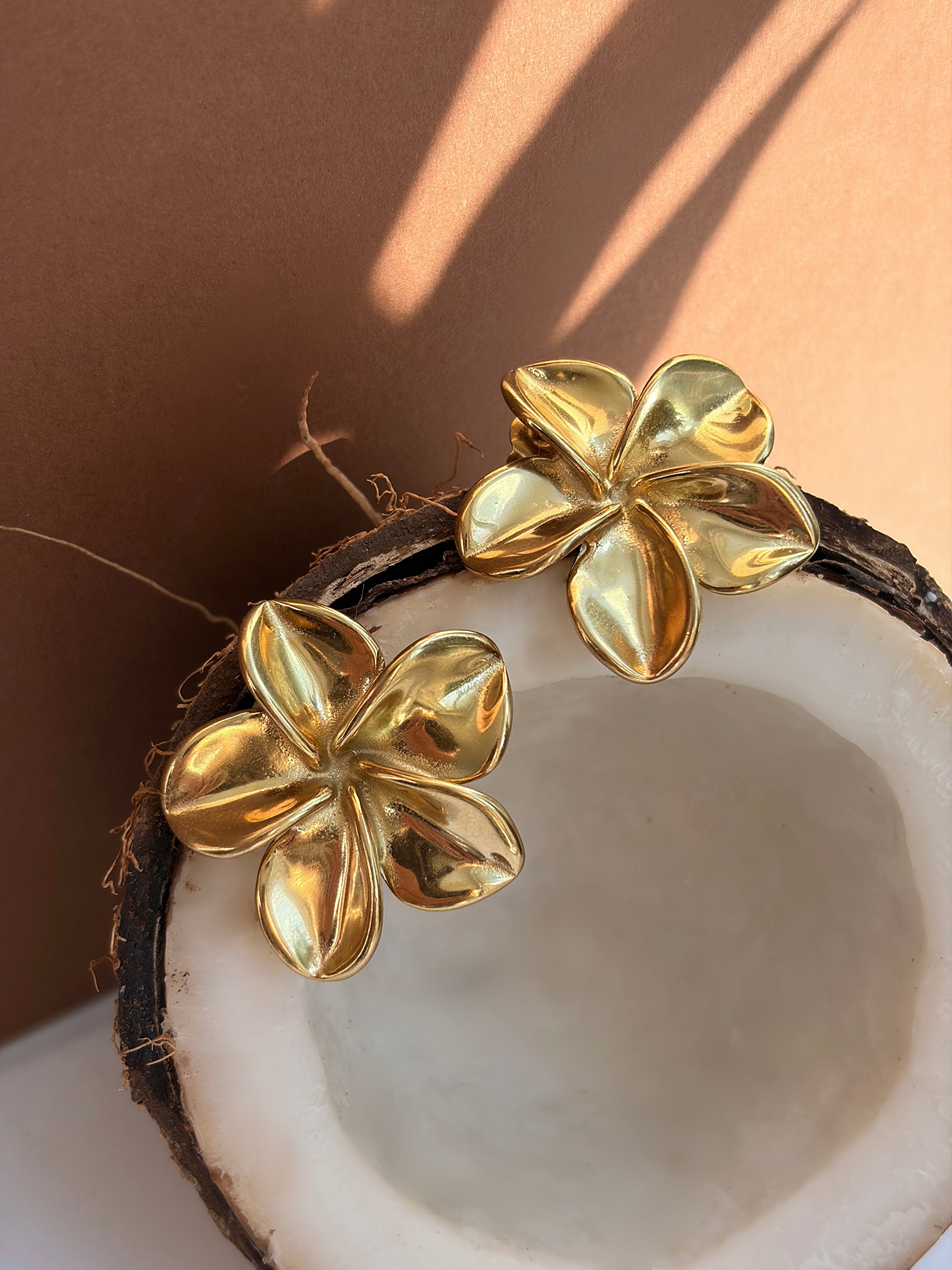 Boucles d’oreilles SERENA